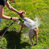 PupsJetWash™ Pet Shower Gun