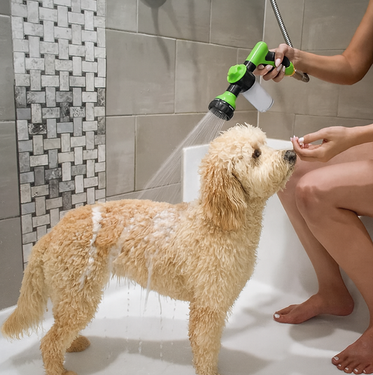 Dog being bathed with a handheld shower head in a tiled bathroom.